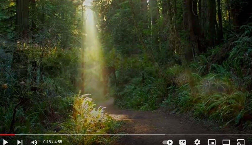 ES Dept Overview video image