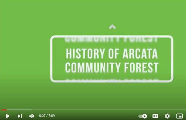 History of ACF image