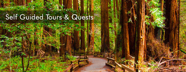 Self-Guided Tours Banner