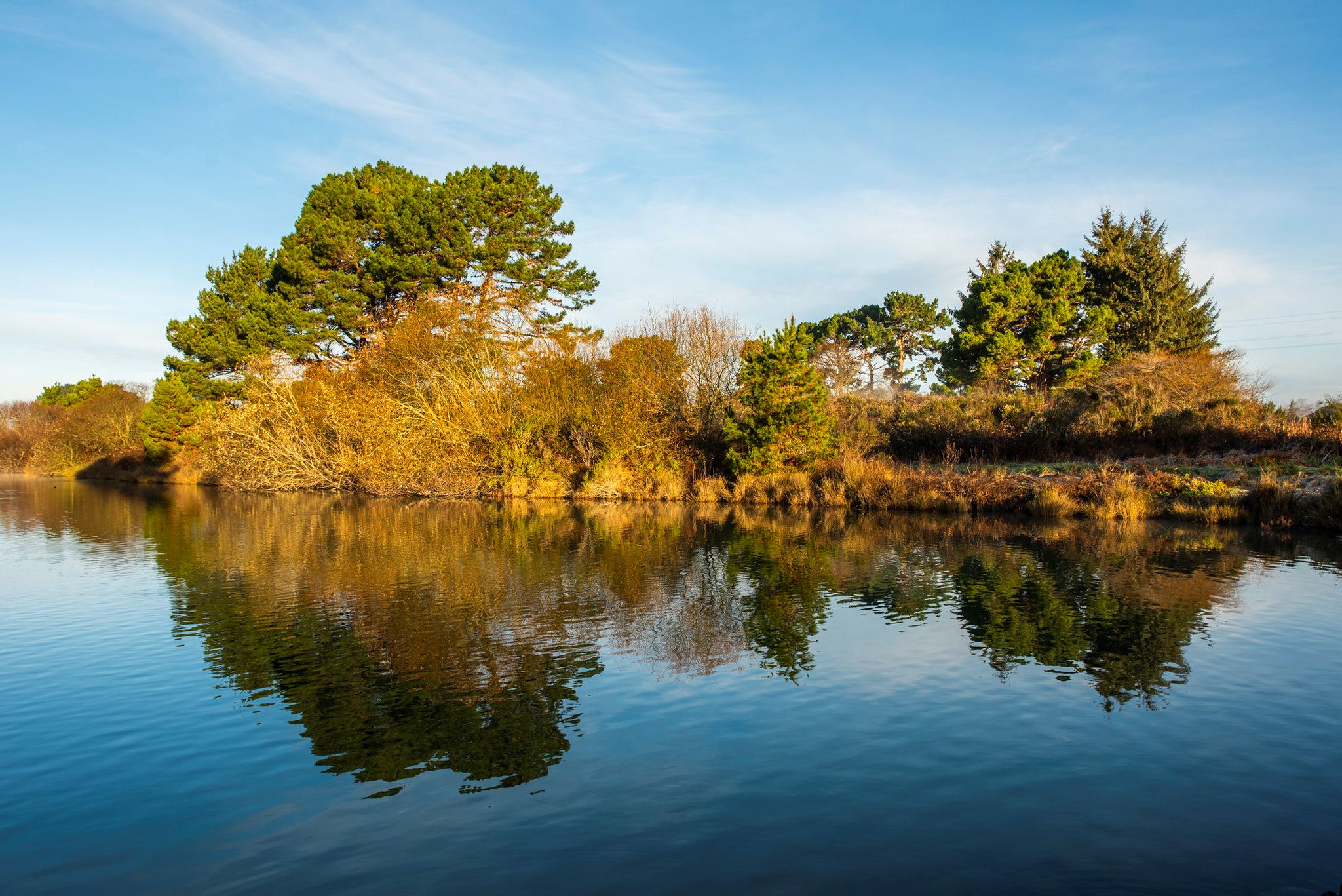 Arcata Marsh Courtesy of HSU 