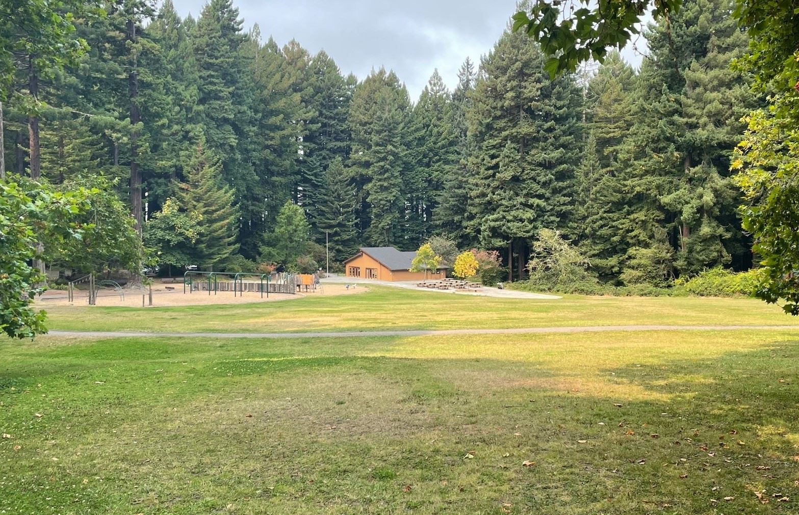 Redwood Park photo