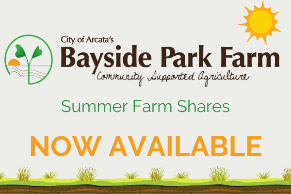 Summer Farm Shares Available Now