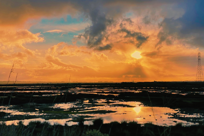 The sun sets, making the cloudy sky orange, to the West of the Arcata Marsh