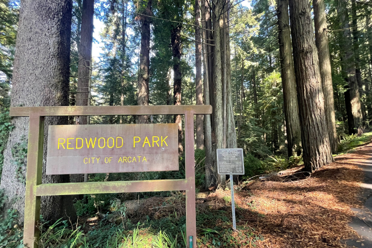 Wooden Redwood Park Sign at Park Entrance