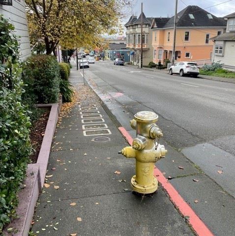 Public Art Survey Fire Hydrant Photo