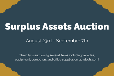 Web Surplus Auction