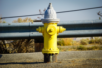 Fire Hydrant with silver top