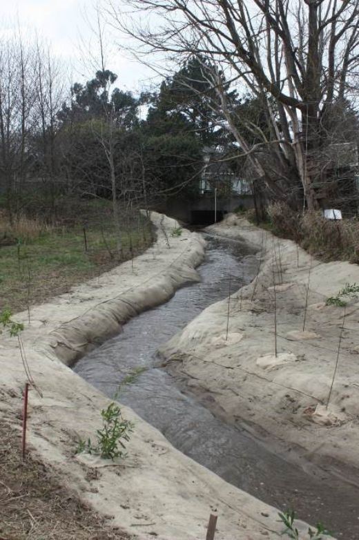 janes after_restoration