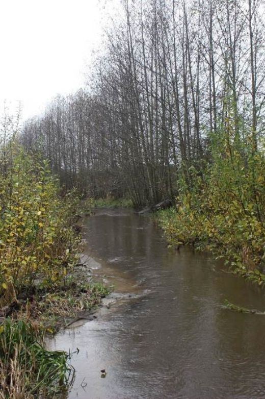 janes 2 after_rstoration