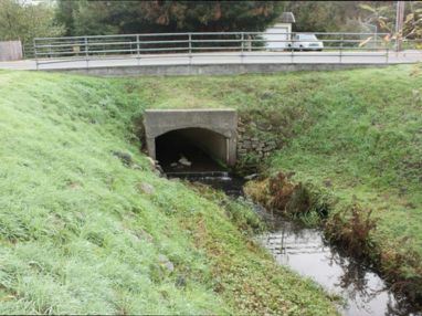 Janes Alliance Before_2