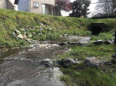 Janes Alliance post_2