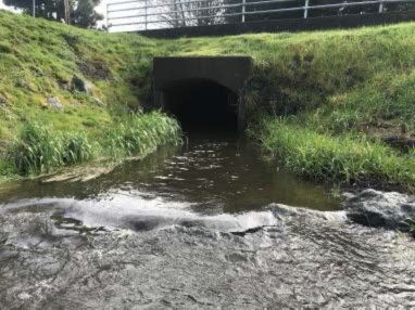 Janes alliance post_3