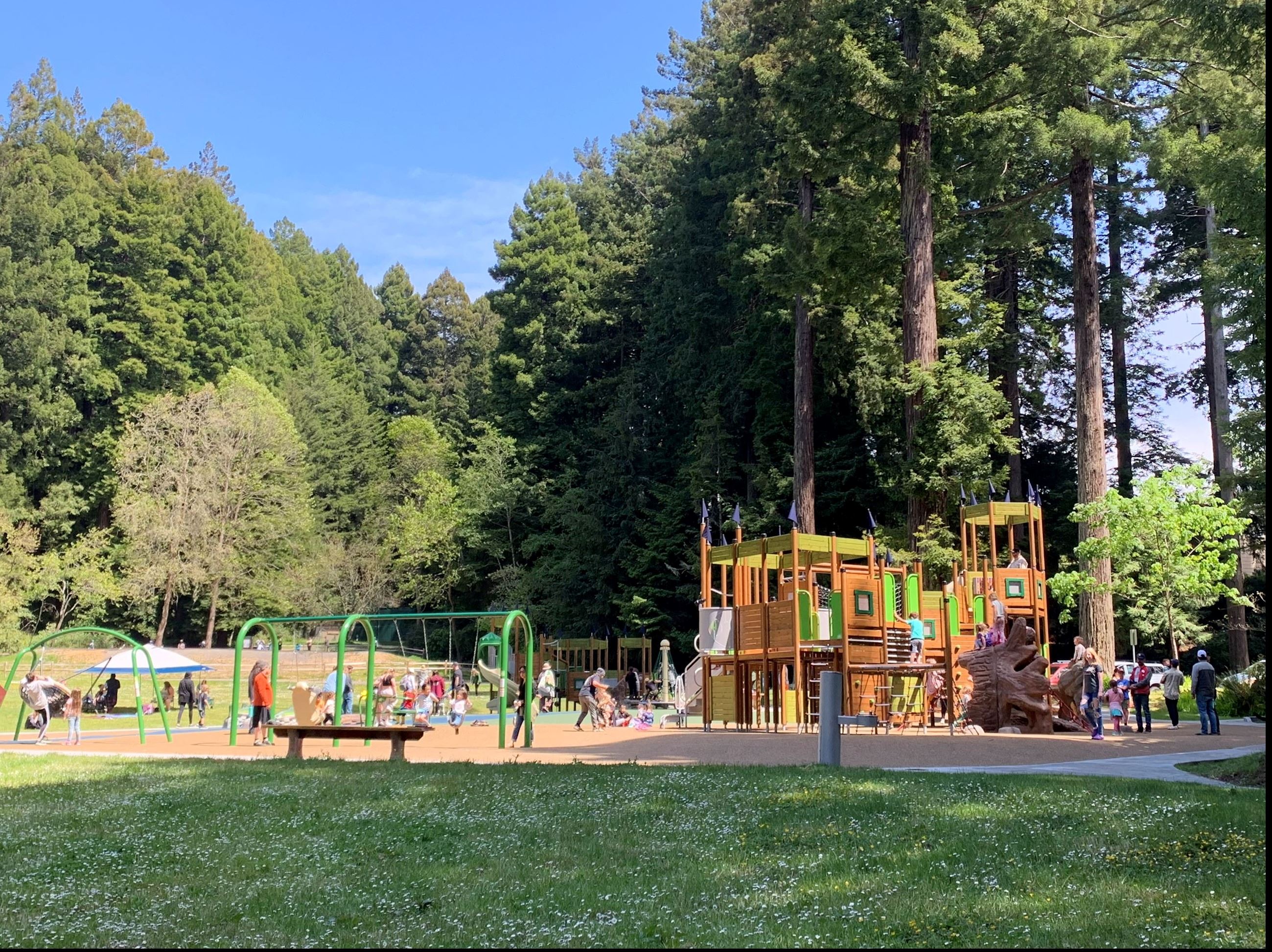 Redwood Park Playground2