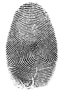 Image of a Fingerprint