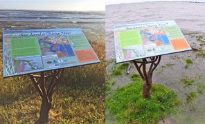 Arcata Marsh and Wildlife Sanctuary Sea Level Rise Sign