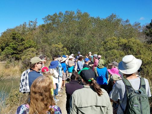 Citizens and City Staff on Trail Walk - Viewing Current & Future SLR Impacts