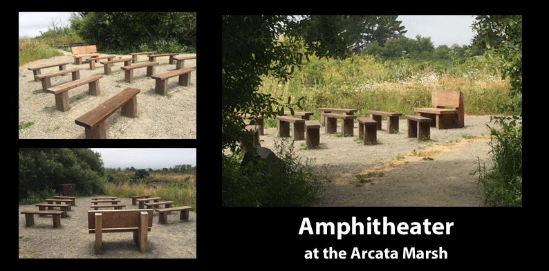 Arcata Marsh Amphitheater