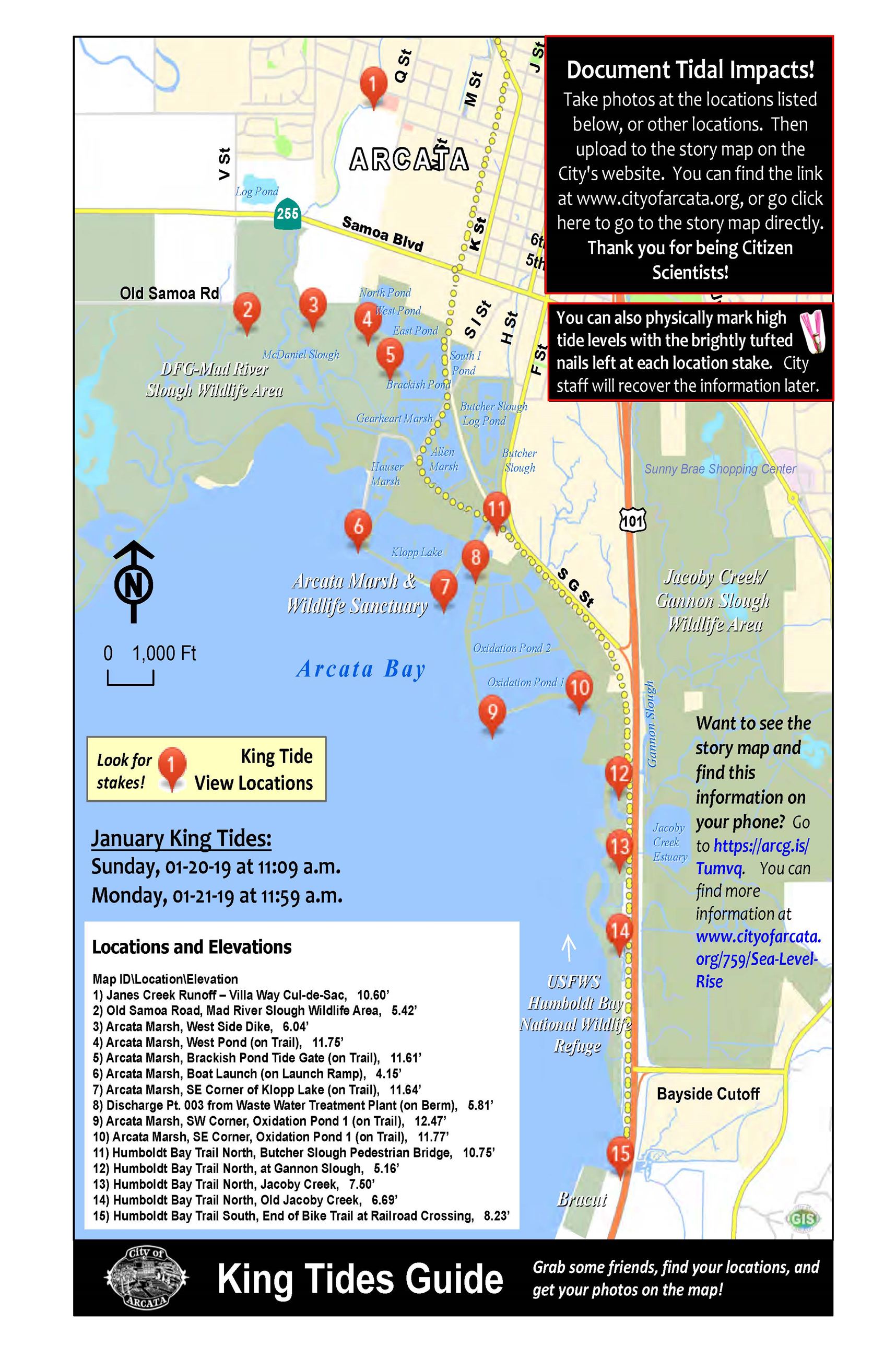 King Tide Guide January 2019