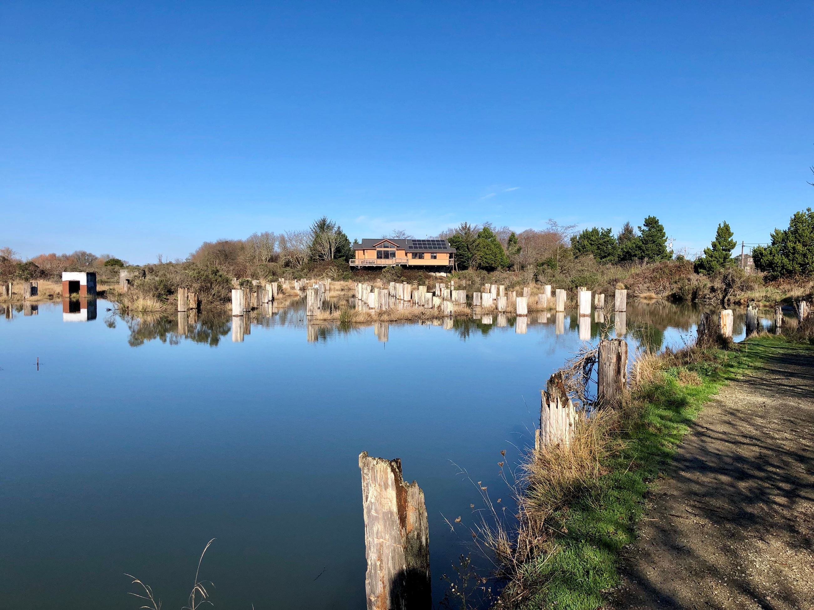 Looking North to AMIC 12.26.2019 11.33 AM