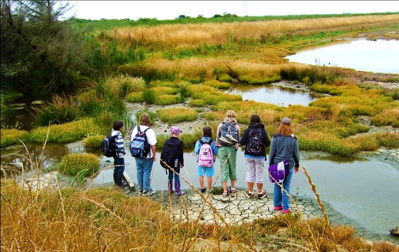 Marsh Explorers Camp