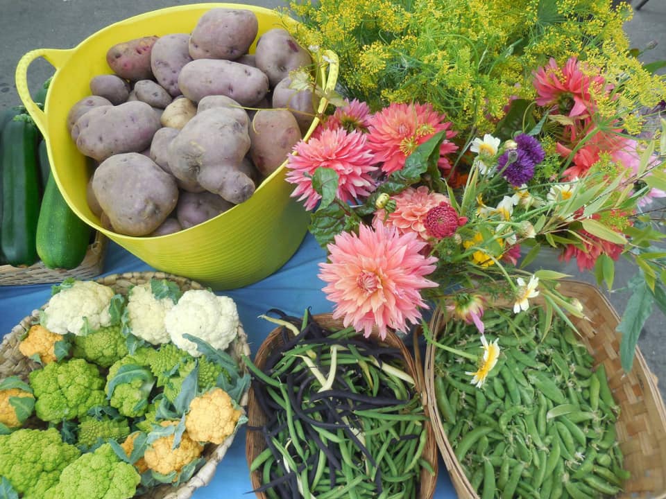 Bayside Park Farm Farmshare Goods