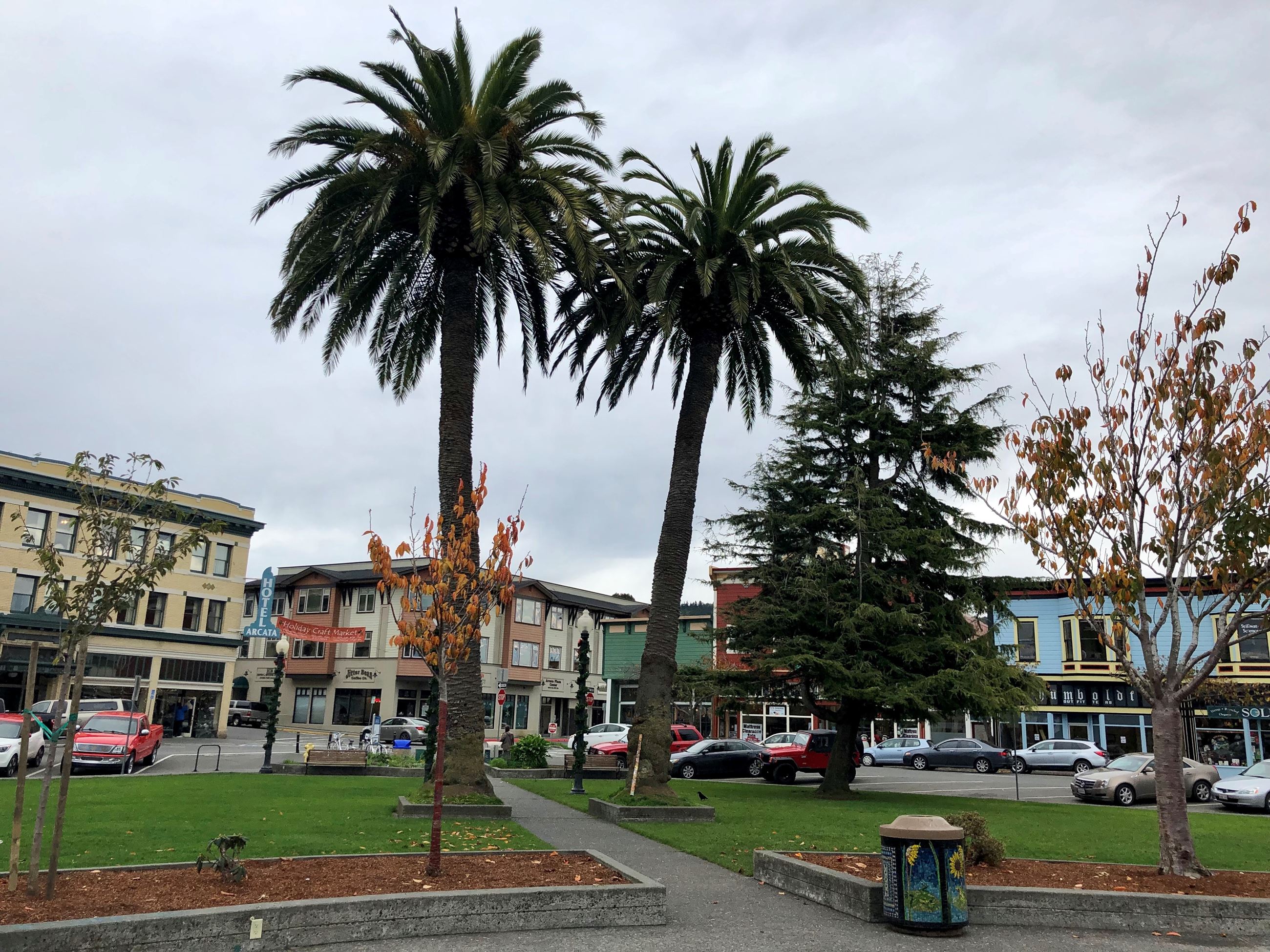 Arcata Plaza No Statue Opens in new window
