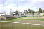 Baseball and Softball Fields