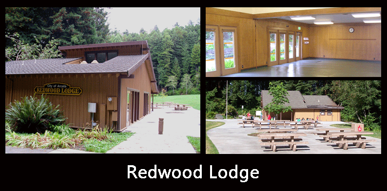 Redwood Lodge