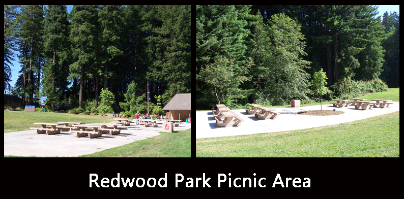 Redwood Park Picnic Area